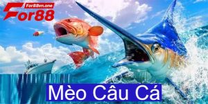 meo cau ca 0