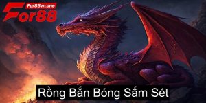 rong ban bong sam set 0